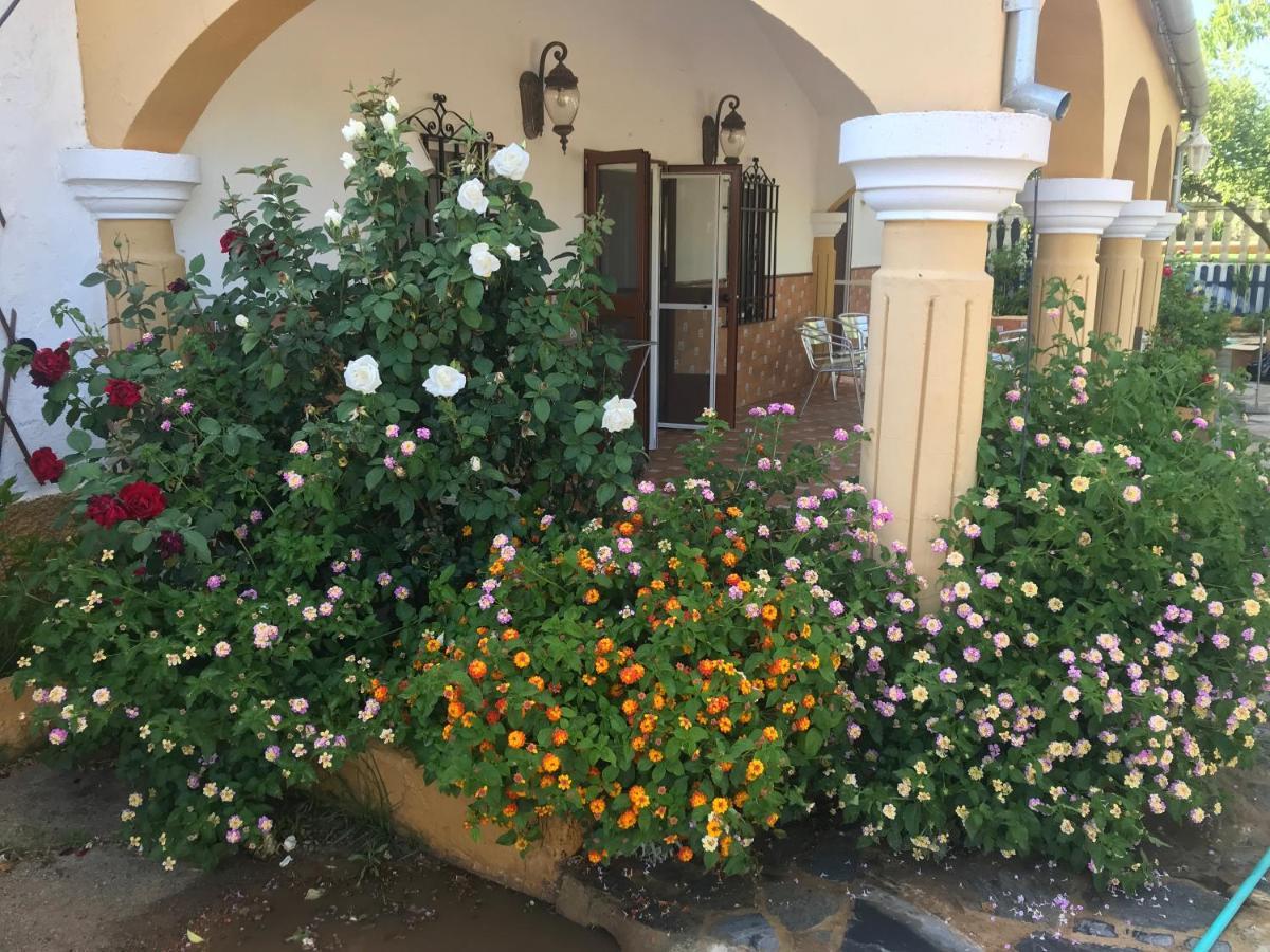 Finca La Rosalia Setenil De Las Bodegas Exteriör bild